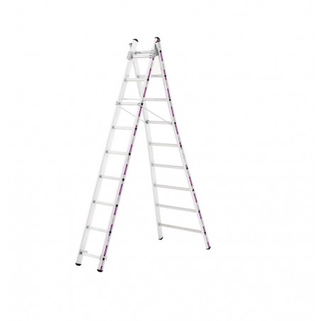 Reformladder 1242 met uitgebogen ladderbomen 2x10 sporten Reformladder 1242 met uitgebogen ladderbomen 2x10 sporten